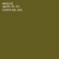 #635C20 - Costa Del Sol Color Image